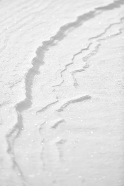 Onda Vento Neve — Fotografia de Stock