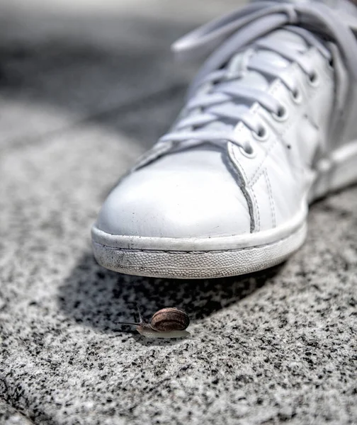 Die Schnecke Unter Der Sohle — Stockfoto