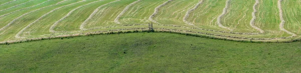 Landscape Meadows Hay — Stock Photo, Image