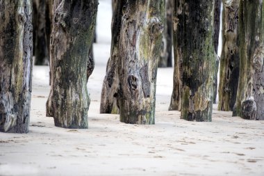 St. Malo 'da tahta direkler