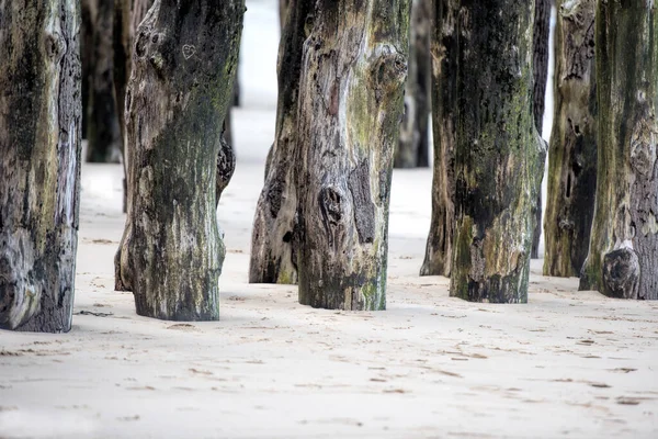St. Malo 'da tahta direkler