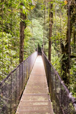 Asma köprü Kosta Rika