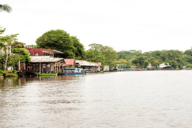view from rio tortuguero