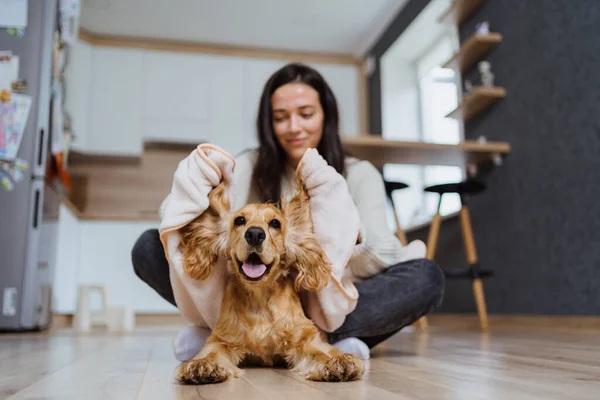 Bir köpekle ilgilenmek ve oynamak hakkında güzel bir fotoğraf. — Stok fotoğraf