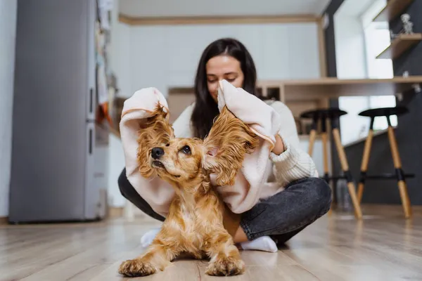 Photo agréable sur la prise en charge et le jeu avec un chien — Photo