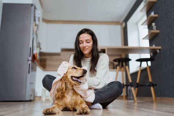 Bir köpekle ilgilenmek ve oynamak hakkında güzel bir fotoğraf. — Stok fotoğraf