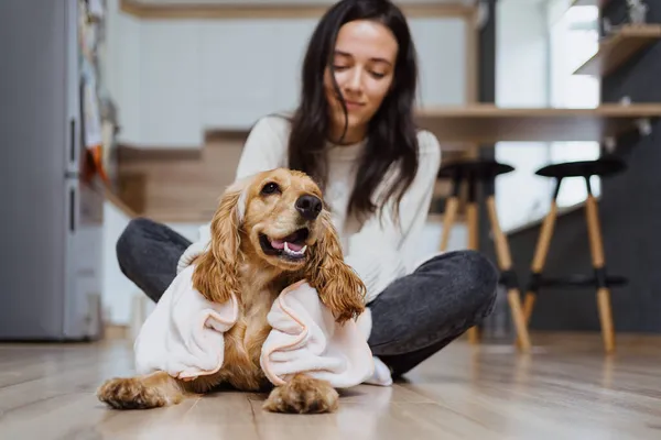 Bir köpekle ilgilenmek ve oynamak hakkında güzel bir fotoğraf.