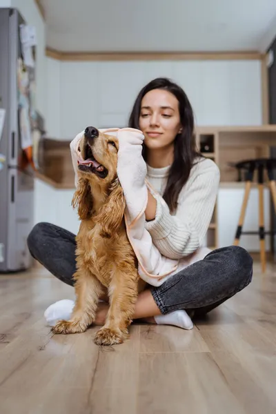 Bir köpekle ilgilenmek ve oynamak hakkında güzel bir fotoğraf. — Stok fotoğraf