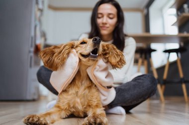 Bir köpekle ilgilenmek ve oynamak hakkında güzel bir fotoğraf.