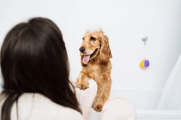 Γυναίκα με ένα υπέροχο σκυλί που κάνει μπάνιο — Φωτογραφία Αρχείου