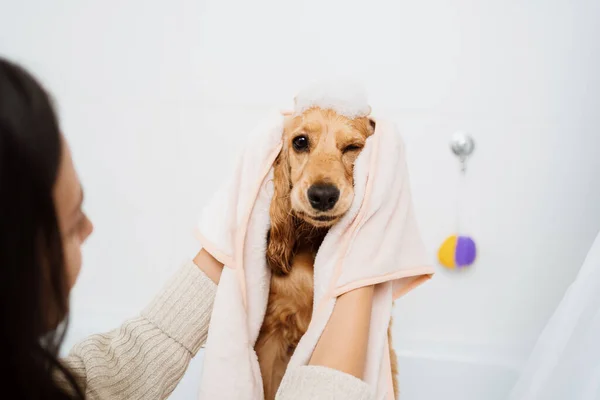 Mulher com um cão encantador tomando um banheiro — Fotografia de Stock