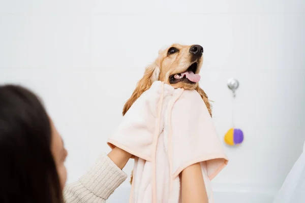 Mulher com um cão encantador tomando um banheiro — Fotografia de Stock