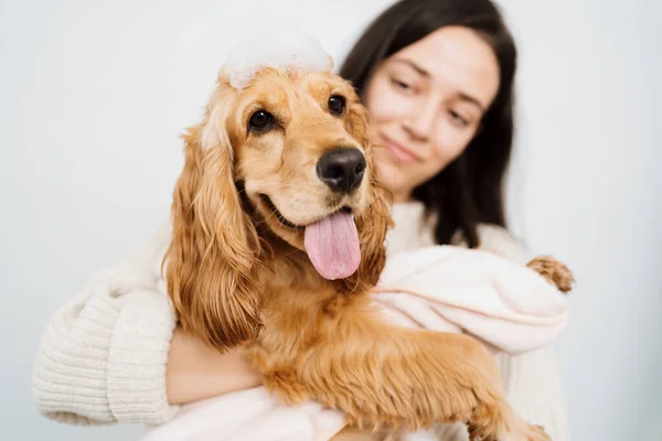 Mulher com um cão encantador tomando um banheiro — Fotografia de Stock