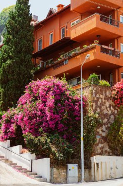 Çiçekli güzel turuncu bir evin manzarası.