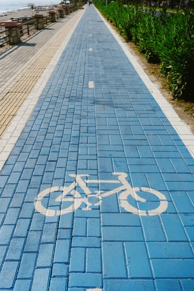 Ποδηλατόδρομους και λευκό ποδήλατο σύμβολο — Φωτογραφία Αρχείου