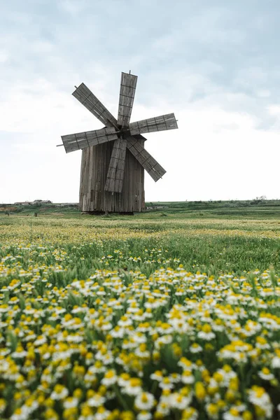 Ekologický koncept, větrný mlýn na zelené louce — Stock fotografie