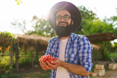 Küçük kırmızı domatesleri tutan adam elleri
