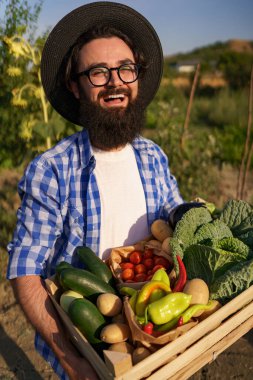 Çiftçi bir kutu sebze tutuyor. Sonbahar hasadı.