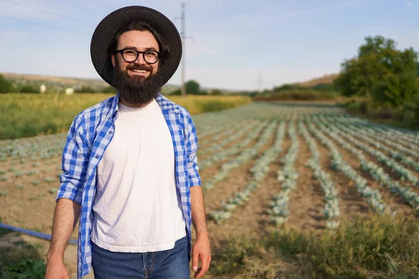 Фермер осматривает выращивание капусты — стоковое фото