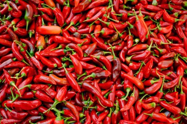 Kırmızı biber arka planı, taze ve baharatlı.