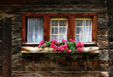 pencere