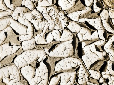 Önümüzdeki kuraklık