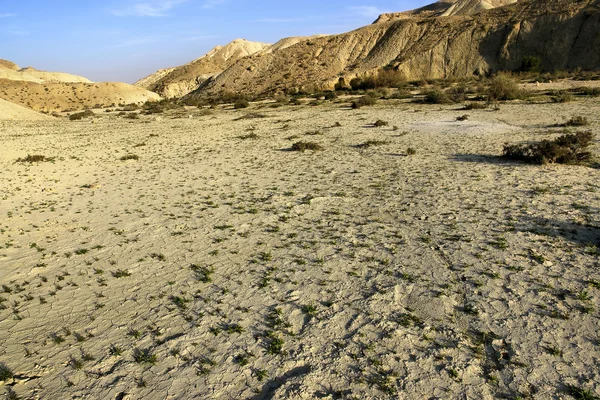 Paysage désertique — Photo