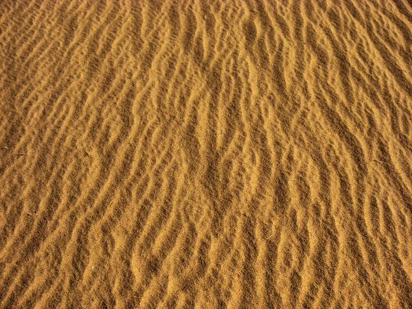 Blown with the wind — Stock Photo, Image