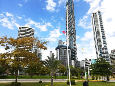 Miasto zza drzew Panamie
