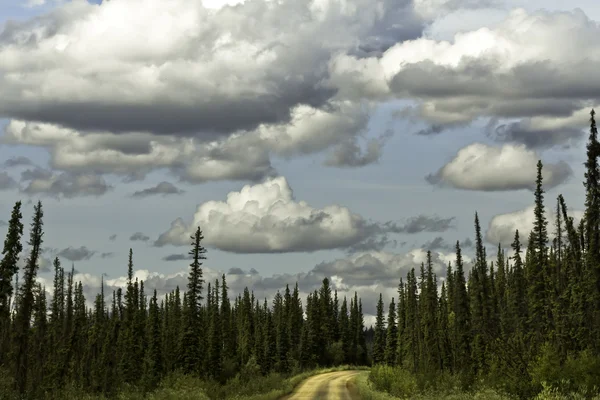 Alaska, kurviga vägen från fairbanks till polcirkeln — Stockfoto
