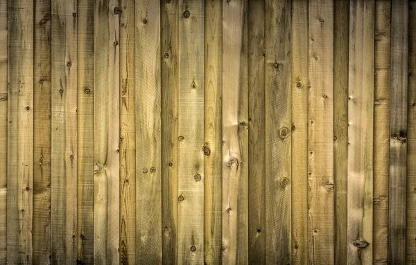 나무 울타리 — 스톡 사진