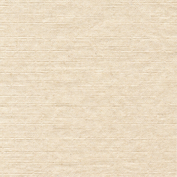 Светло-коричневый фон
