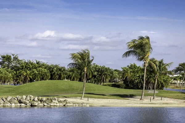 Palmer av grön gräsmatta resort i naples, florida — Stockfoto