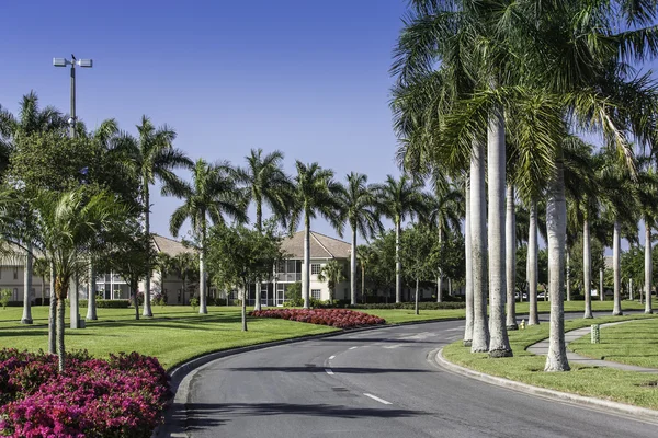 Traditional community in Naples, Florida — Stock Photo, Image