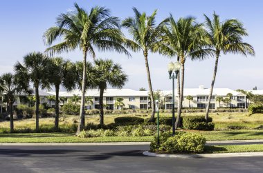 Naples, florida geleneksel toplum