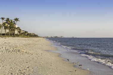 Naples, florida kıyı
