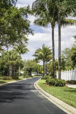 Naples, florida geleneksel toplum yol