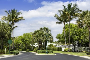 Naples, florida geleneksel toplum yol