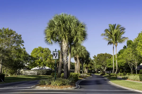 Route vers la communauté à Naples, Floride — Photo