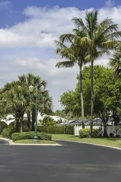 Tradicional gated community road em Nápoles, Flórida — Fotografia de Stock