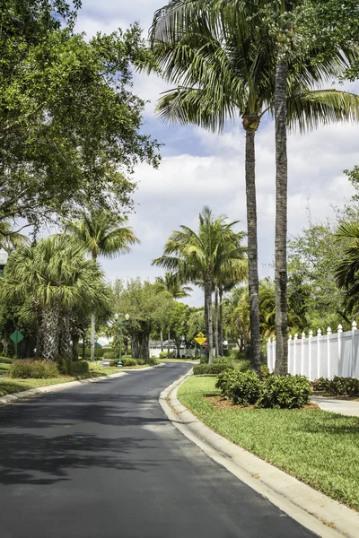 Traditional community road in Naples, Florida — Stock Photo, Image