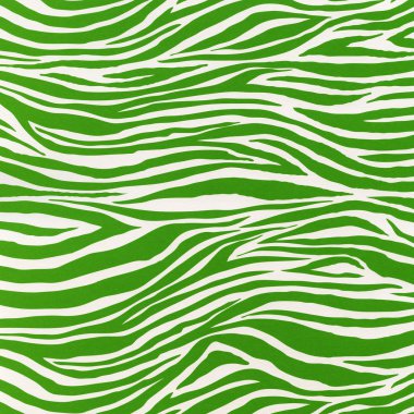 Zebra Kusursuz Deseni