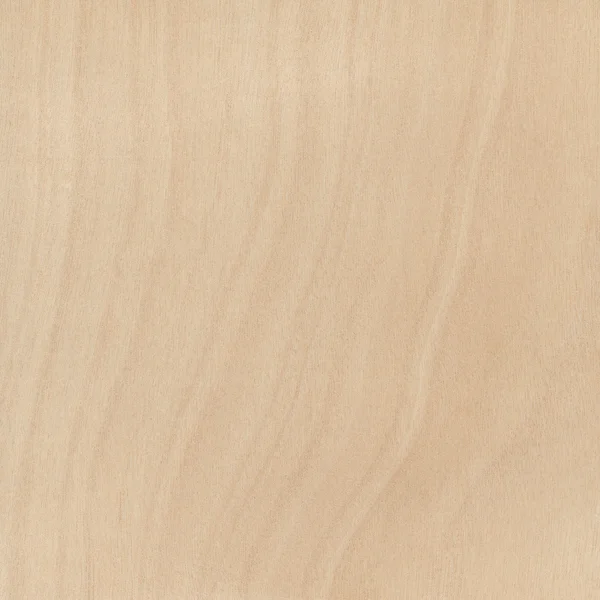 Steekproef van houten fineer — Stockfoto