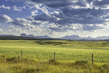 karşı dağlar kara