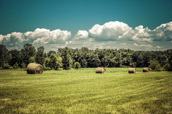 American countryside against sky — Stock Photo, Image