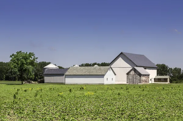 American country farm — Stock Photo, Image