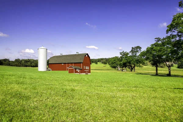 Azienda agricola biologica in collina — Foto Stock