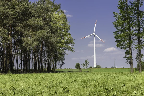 Windmolenpark — Stockfoto