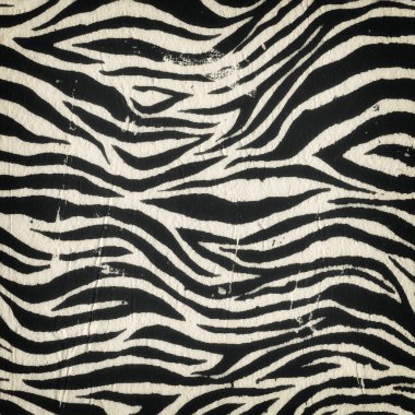 Vintage zebra seamless modeli