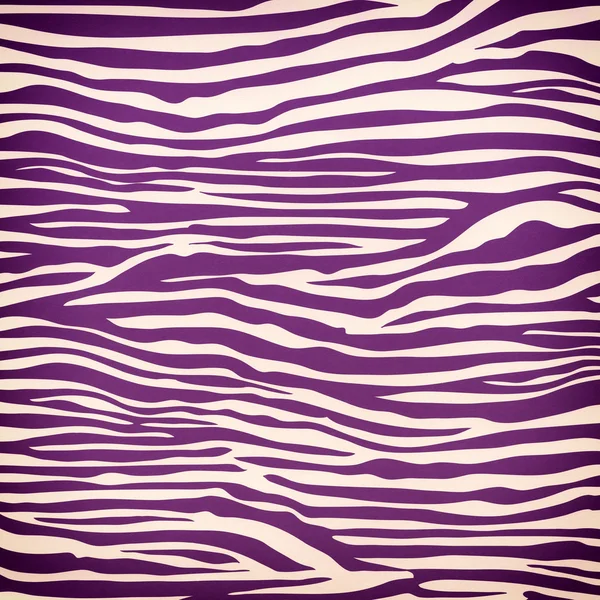 Modèle sans couture Zebra — Photo